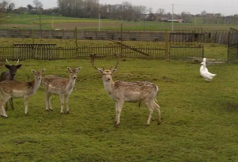 Pension Johan's Lodge