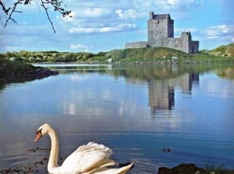 بنسيون Kinvara Guesthouse