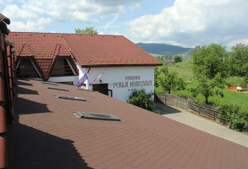 Пансион Perla Muresului