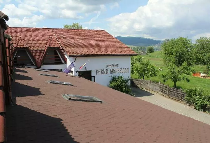 پانسیون Perla Muresului