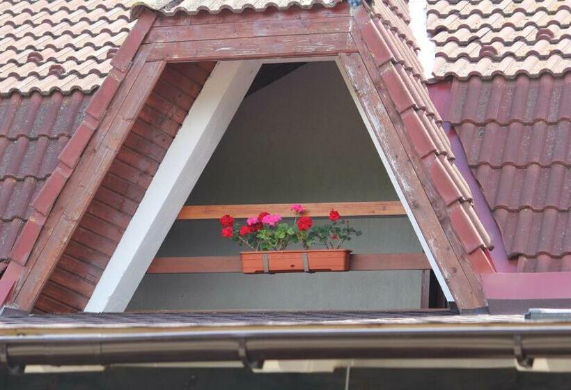 Пансион Perla Muresului