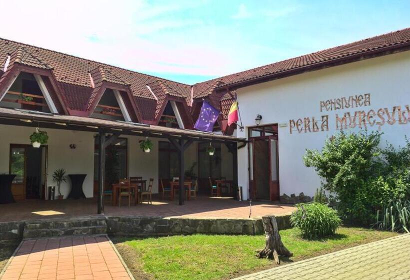 Пансион Perla Muresului