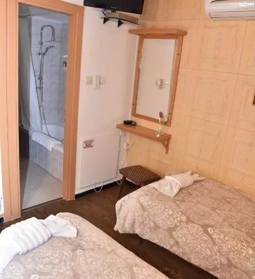 ペンション Safed Inn