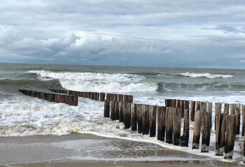 Pension De Zeeschelp