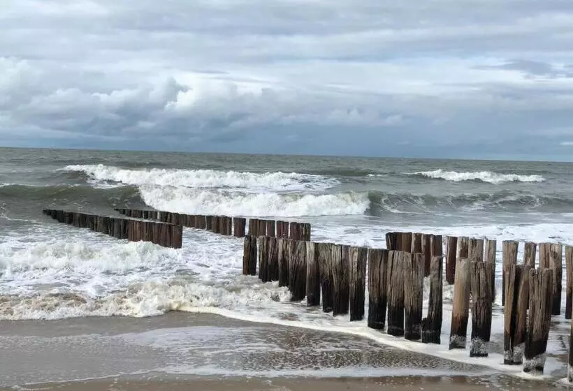 Pension De Zeeschelp