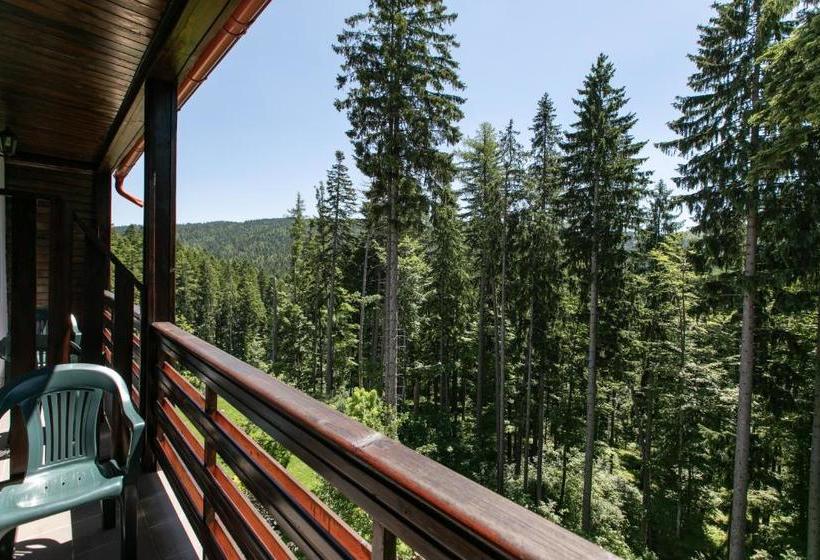 Pensão No 107 Predeal