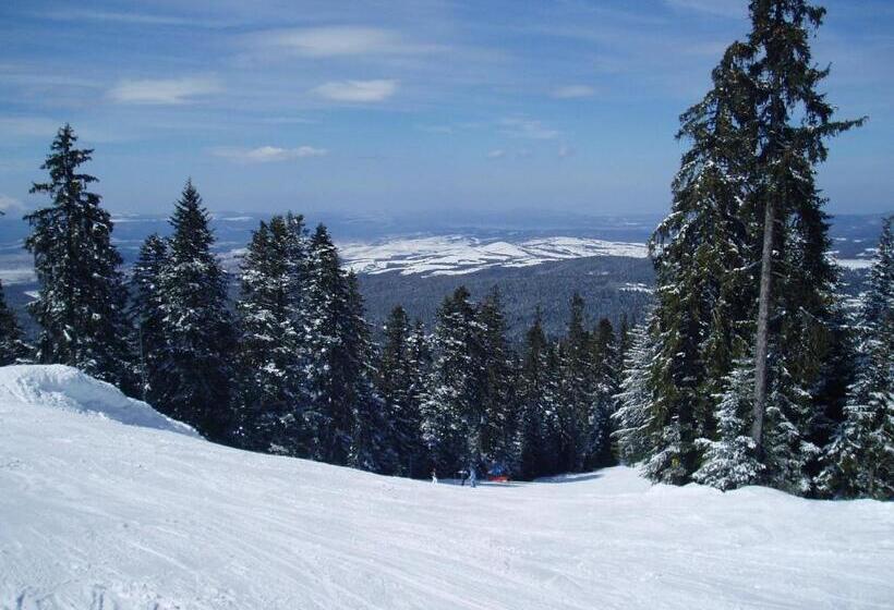 Apartments Flora Daisy