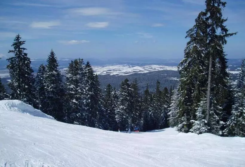 Apartments Flora Daisy