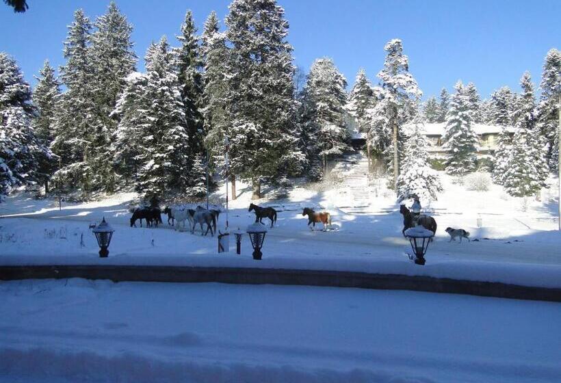 Apartments Flora Daisy