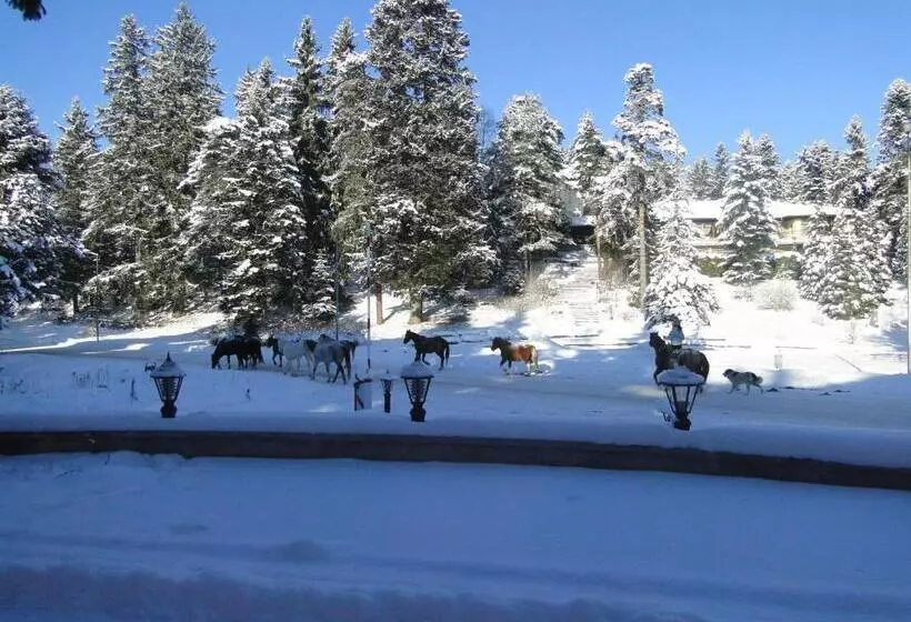 Apartments Flora Daisy