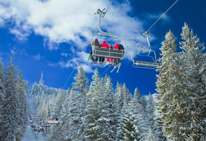 Apartments Flora Daisy