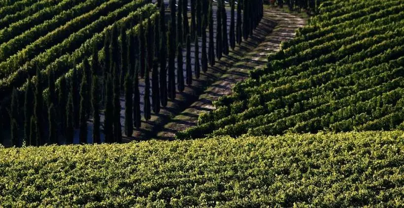 ホテル Poggio Al Casone
