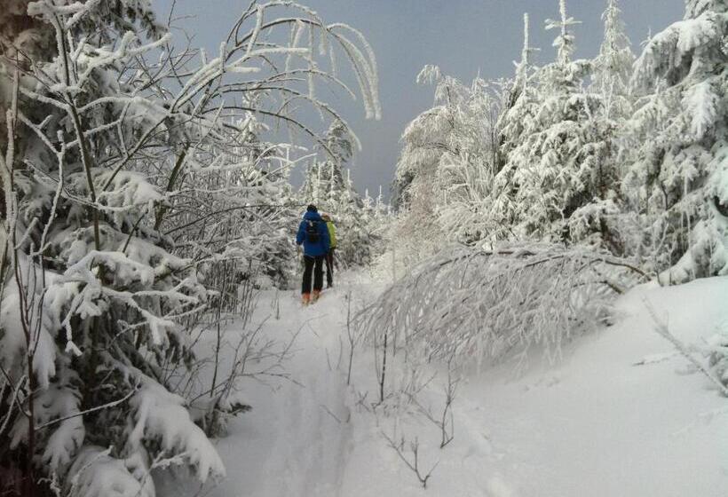 ペンション Gasthof Waldschenke