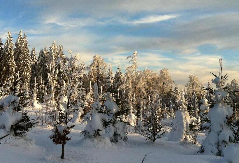 ペンション Gasthof Waldschenke