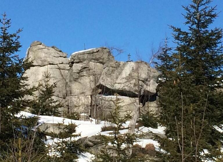 ペンション Gasthof Waldschenke