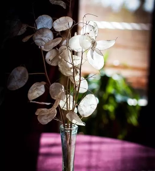 Majatalo Hostal Puerta Medina