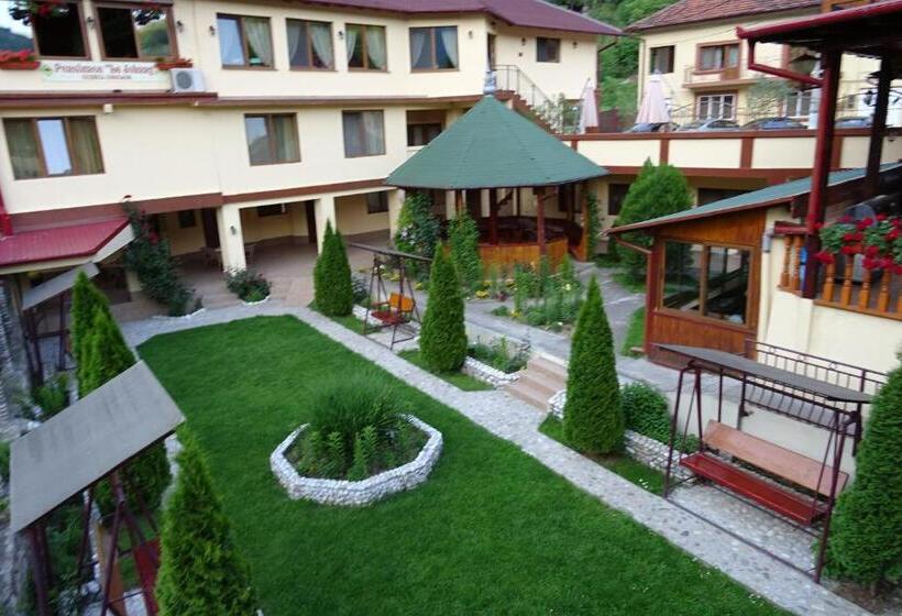 Pension Cuibul Viselor