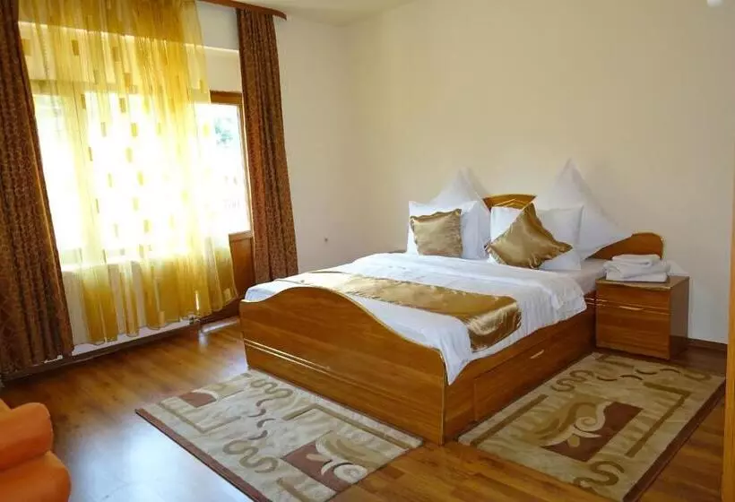 Pension Cuibul Viselor