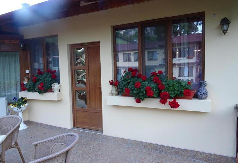 Pension Cuibul Viselor