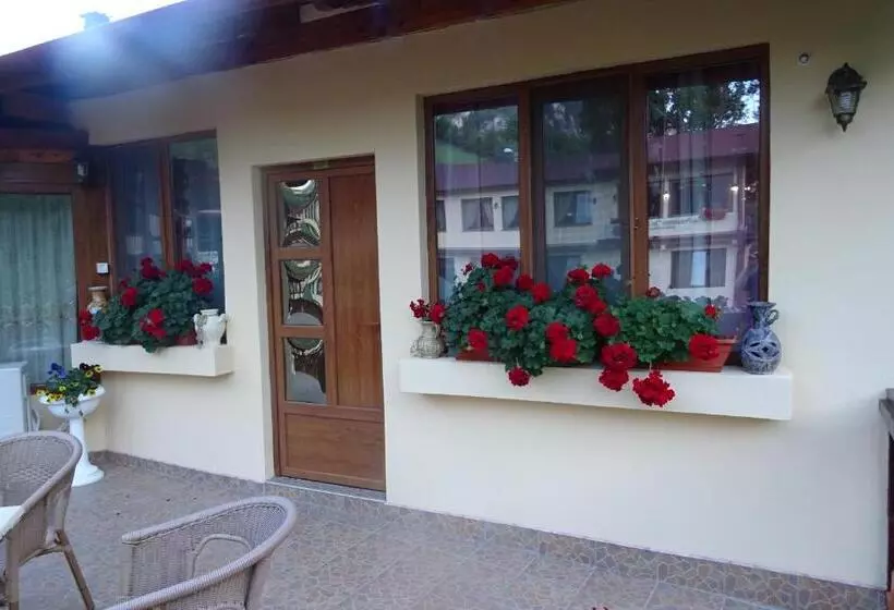 Pension Cuibul Viselor