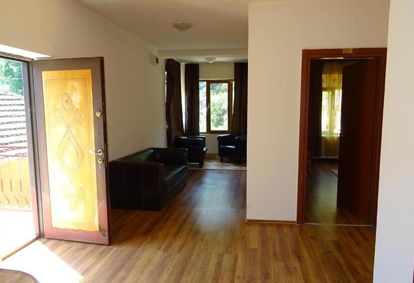 Pension Cuibul Viselor