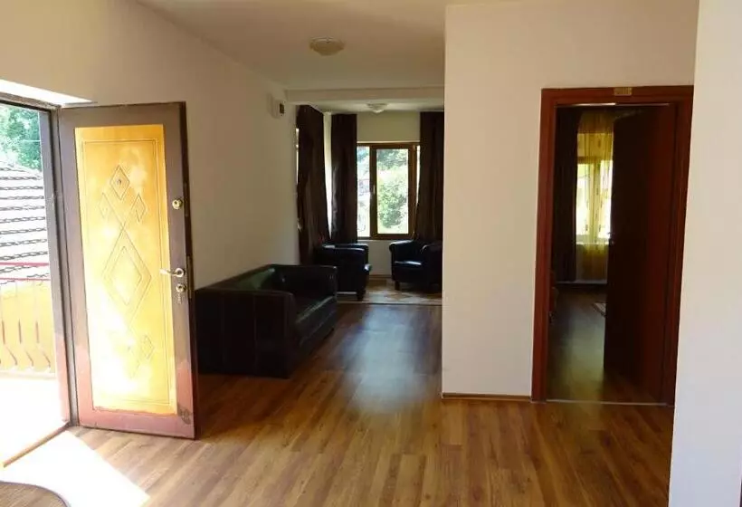 Pension Cuibul Viselor