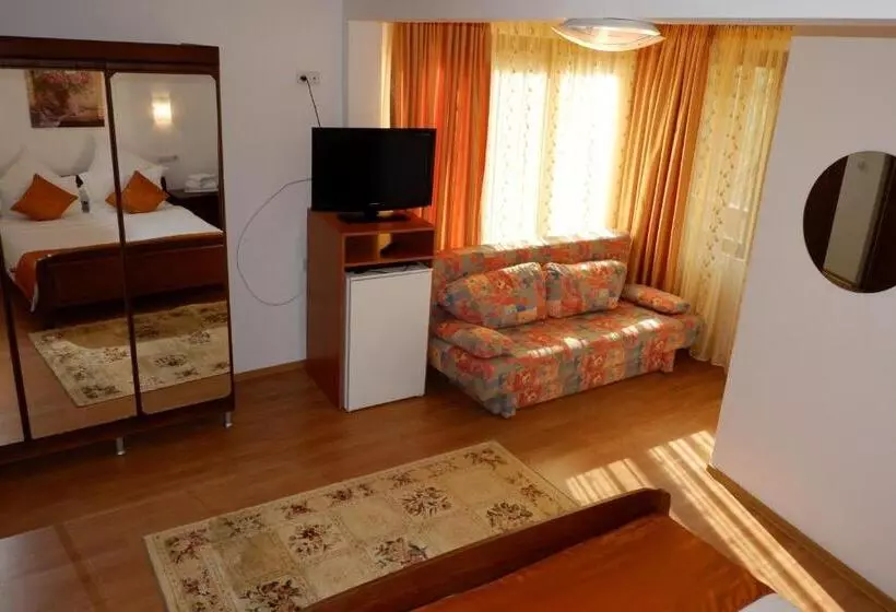 Pension Cuibul Viselor