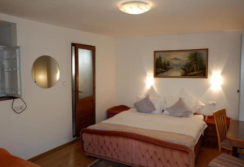 Pension Cuibul Viselor