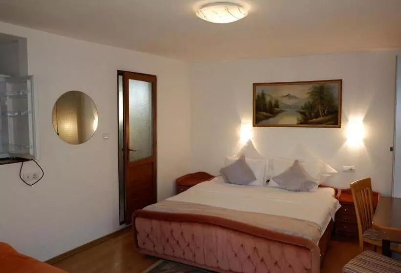 Pension Cuibul Viselor