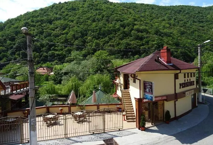 Pension Cuibul Viselor