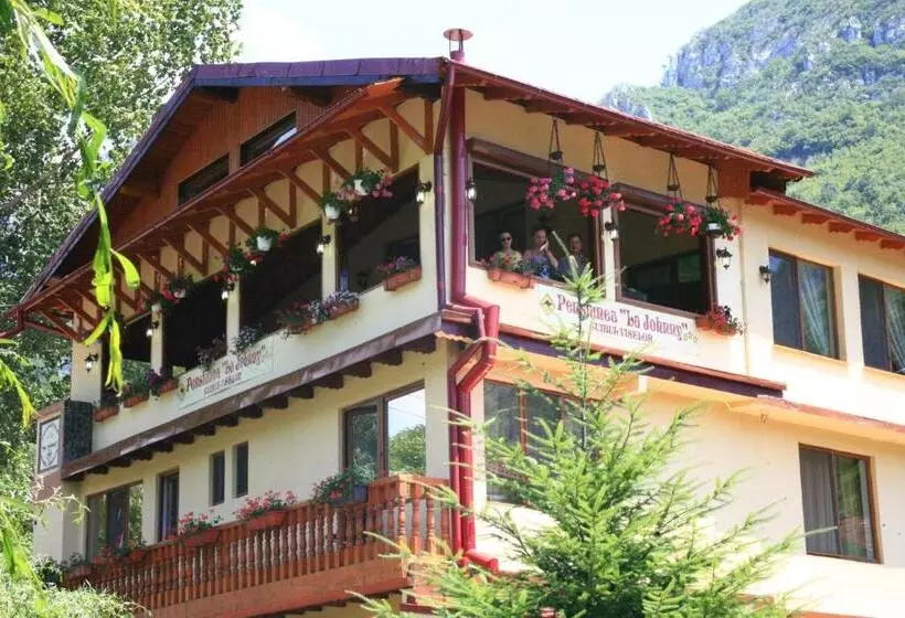 Pension Cuibul Viselor