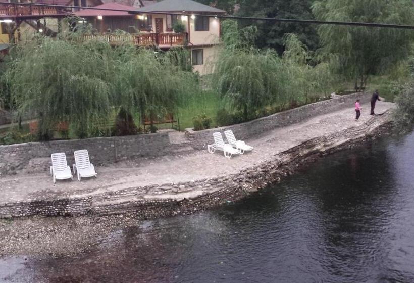 Pension Cuibul Viselor