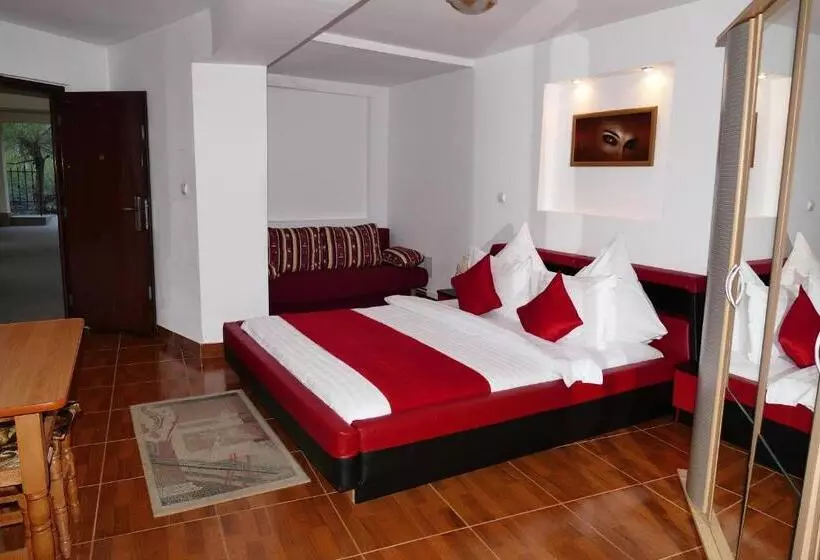 Pension Cuibul Viselor