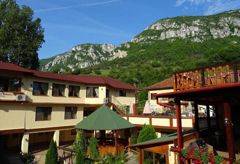 Pension Cuibul Viselor