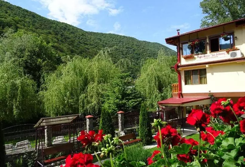 Pension Cuibul Viselor