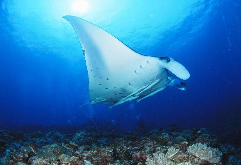 Pension New Hamanoso