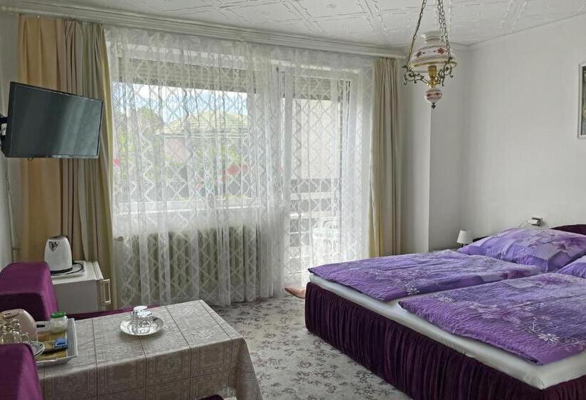 Pension Villa Hany