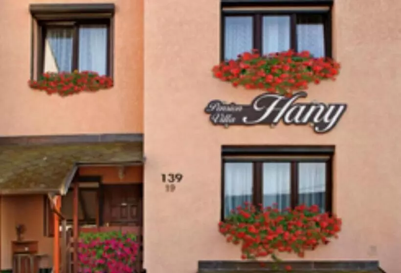 Pension Villa Hany