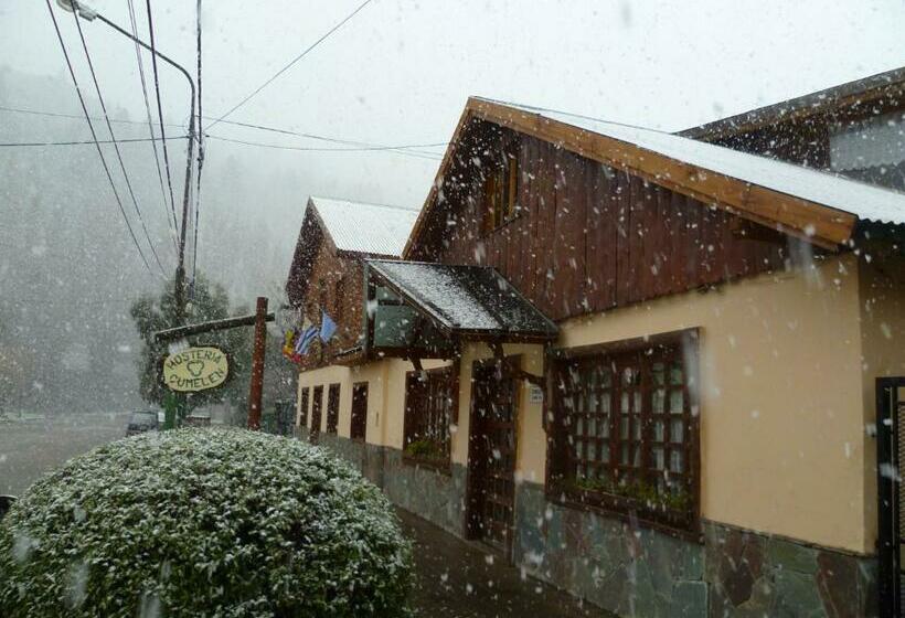 Hostel Hosteria Cumelen