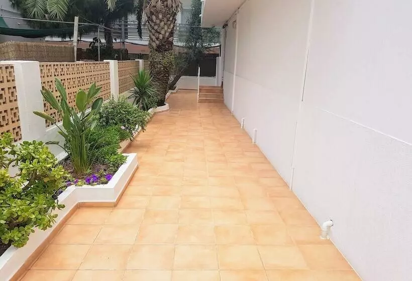Apartamentos Avenida   Mc Apartamentos Ibiza