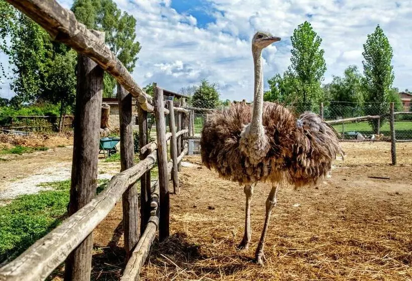 ホテル Agriturismo 4 Ricci