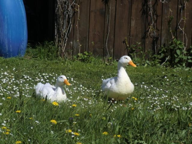 هتل Bunzbauernhof