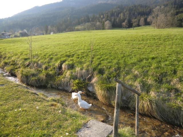 هتل Bunzbauernhof