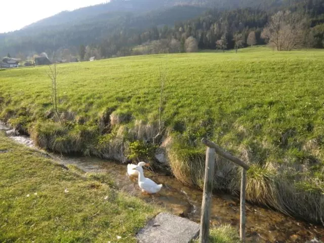 ホテル Bunzbauernhof
