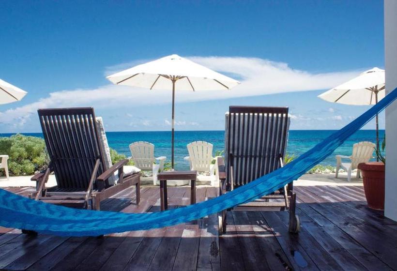 Luna D´ Miel Apartments