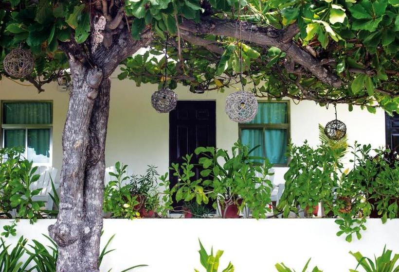 Luna D´ Miel Apartments