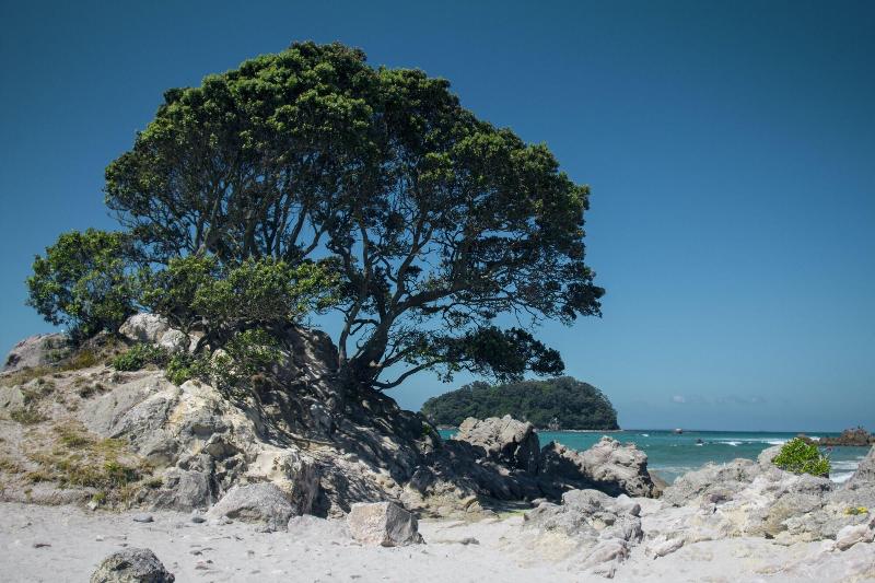 Oceanside Resort & Twin Towers