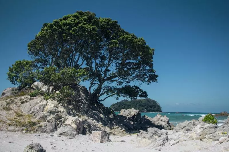 Oceanside Resort & Twin Towers