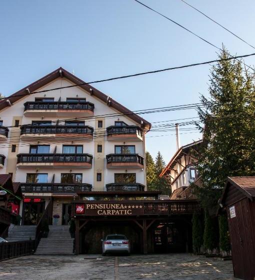 펜션 Carpatic