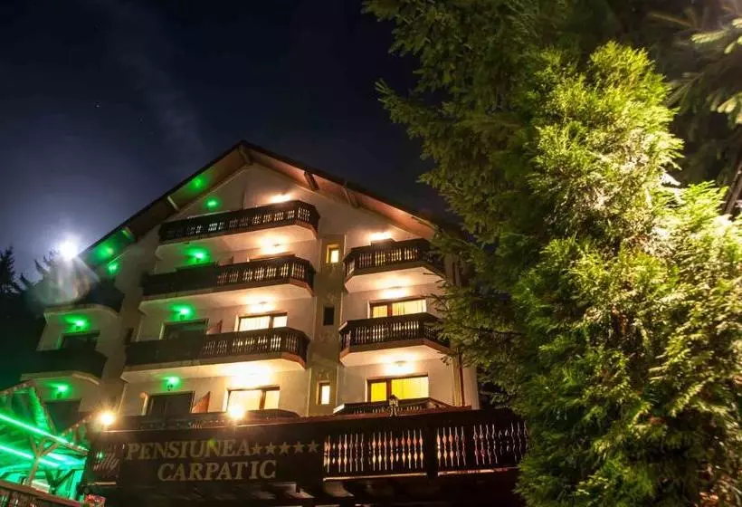 Pensiune Carpatic
